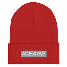 Load image into Gallery viewer, Iceage Cuffed Beanie