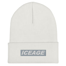 Load image into Gallery viewer, Iceage Cuffed Beanie