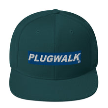 Load image into Gallery viewer, Plugwalk Snapback Hat