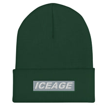 Load image into Gallery viewer, Iceage Cuffed Beanie